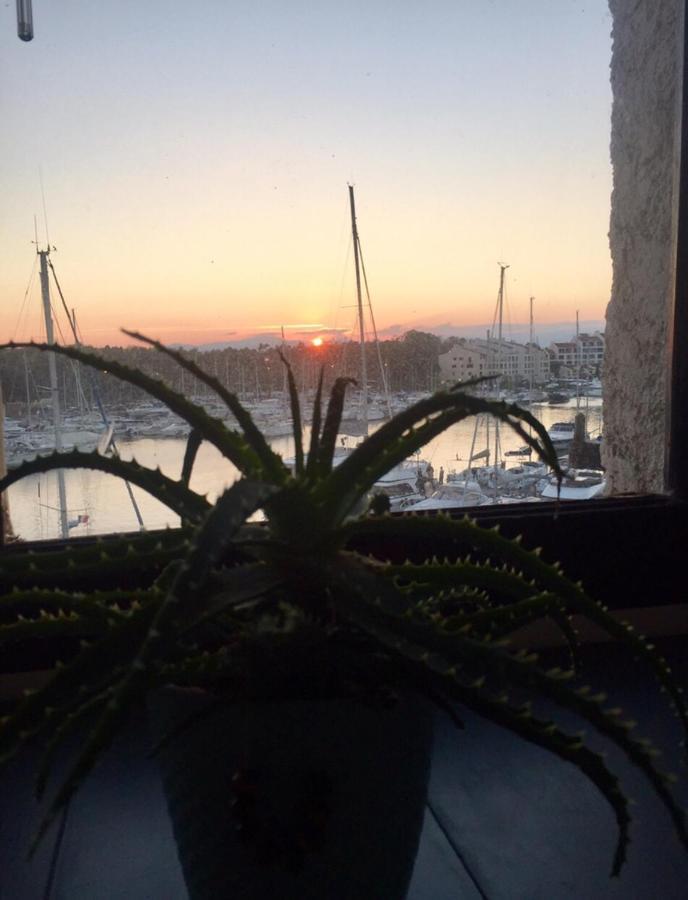 Apartamento Petit Cocon Magnifique Vue Sur Marina Dans Le Golfe De Saint Tropez Cogolin Exterior foto