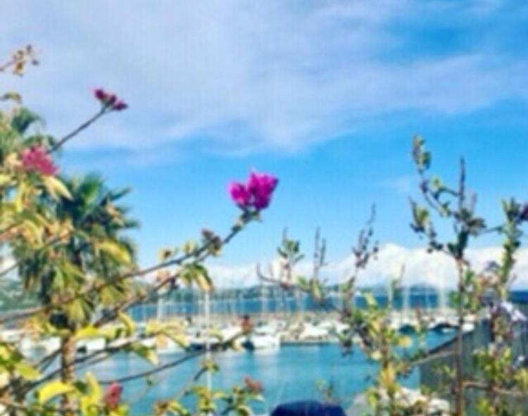 Apartamento Petit Cocon Magnifique Vue Sur Marina Dans Le Golfe De Saint Tropez Cogolin Exterior foto