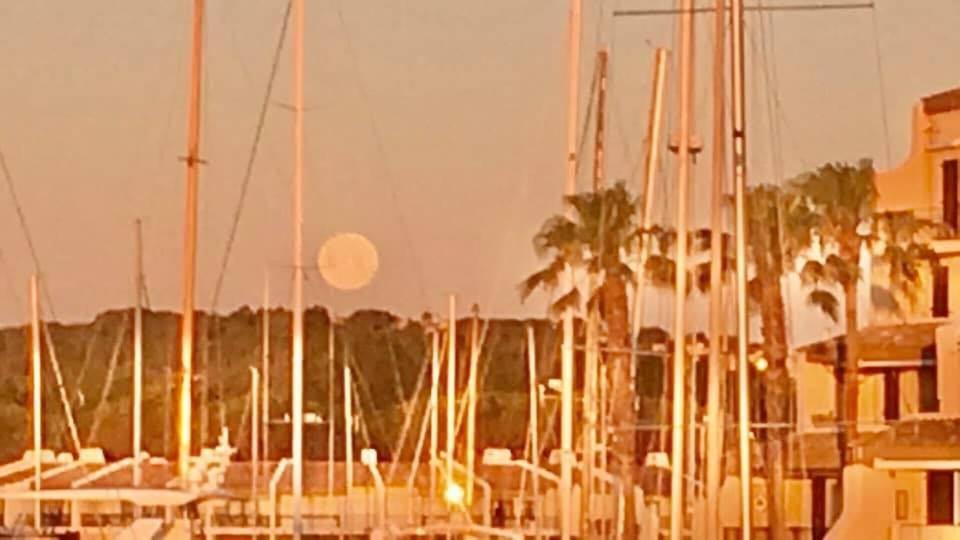 Apartamento Petit Cocon Magnifique Vue Sur Marina Dans Le Golfe De Saint Tropez Cogolin Exterior foto